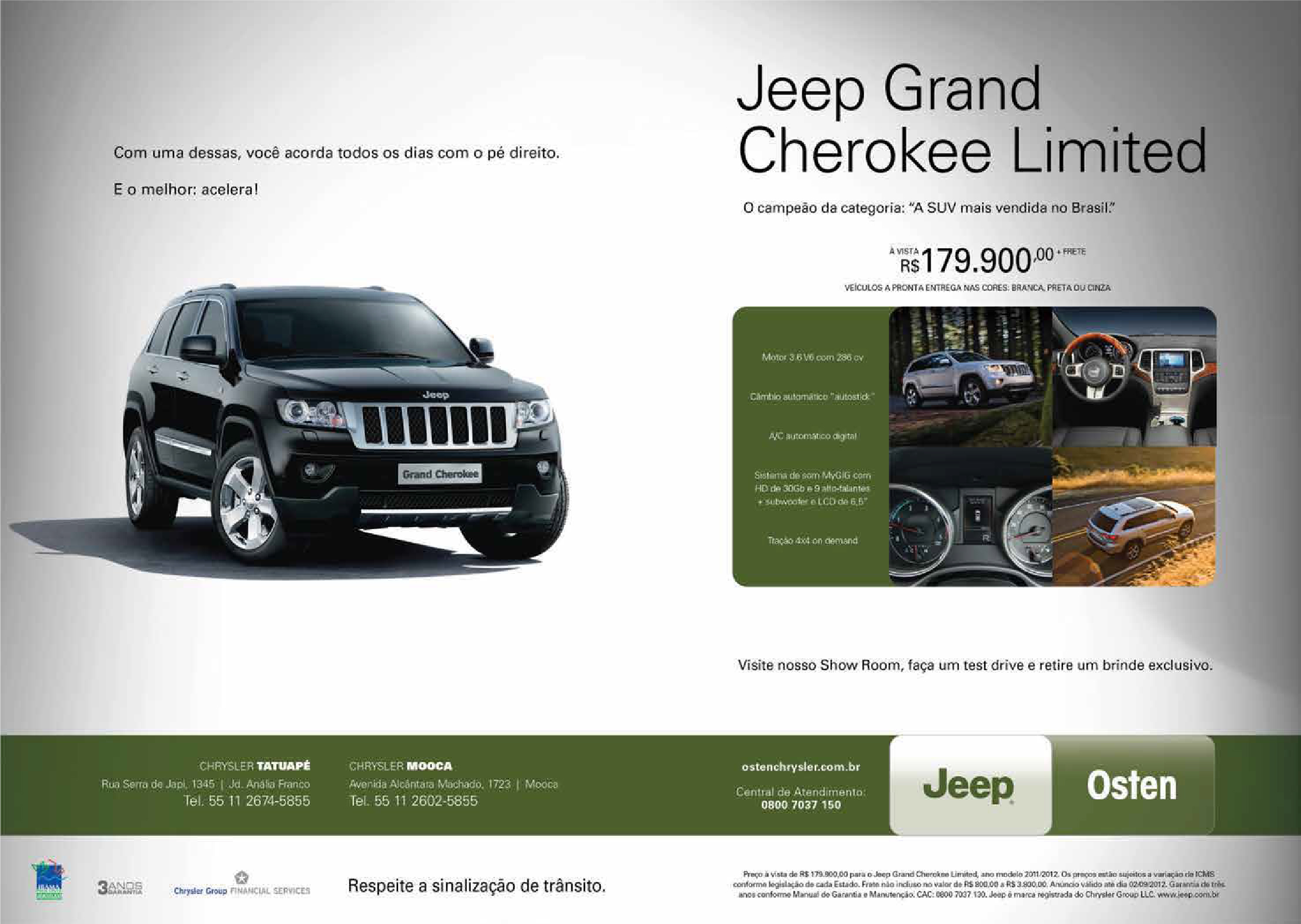 campanha11